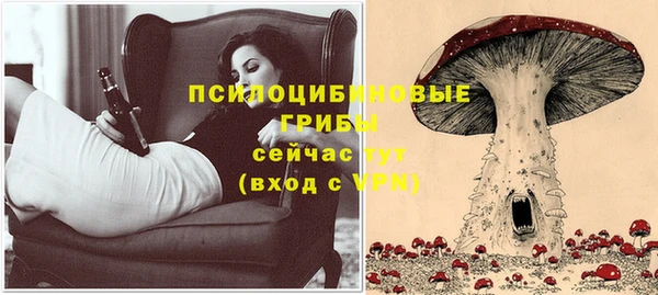 герыч Козловка